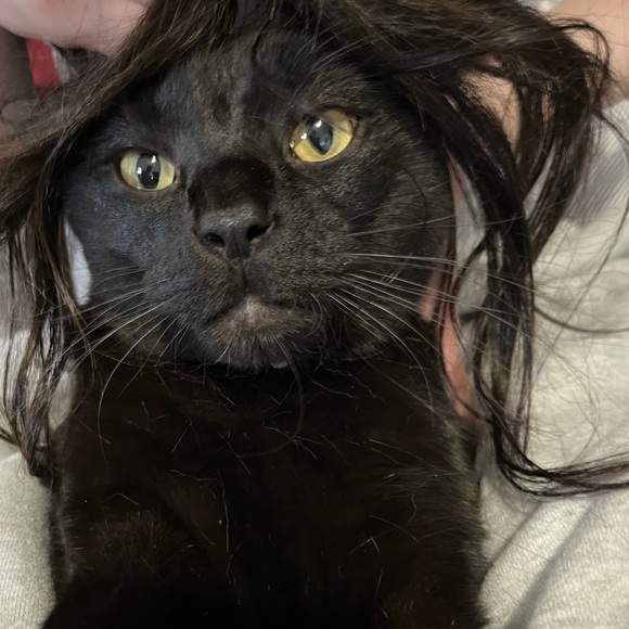 Meet your Posher, Monina - Picture 1 of 2